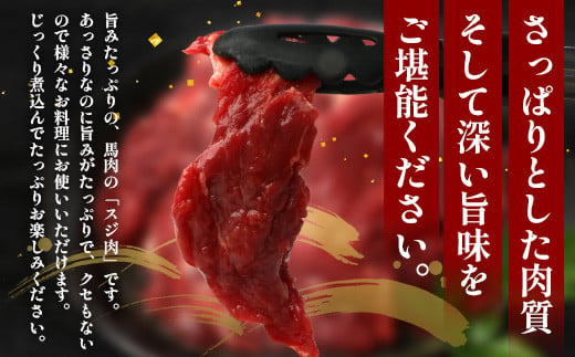 【年内お届け】熊本県 馬スジ 1㎏（500g×2）※12月18日～28日発送※【 馬肉 すじ肉 大容量 本場 熊本県 馬 赤身 煮込み カレー シチュー 冷凍 真空 熊本 肥育 ヘルシー 赤身 肉 高栄養 肉 】 041-0149