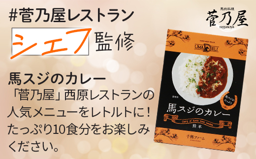 馬スジのカレー 10食 セット 合計2.1kg 【カレー レトルト レトルトカレー 馬すじ 馬スジ 馬 すじ スジ 時短 人気 熊本県 多良木町】 031-0423