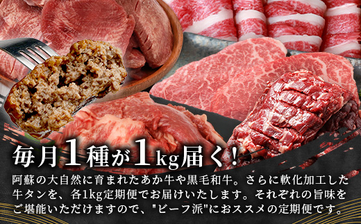 【定期便6回】 1kg×6回！ くまもと ビーフ 満喫 お楽しみ 定期便 【合計6.2kg】 熊本 あか牛 / 牛タン / 黒毛和牛 モモステーキ /あか牛 スジ / ハラミ / 黒毛和牛 ハンバーグ  和牛 ブランド牛 バラエティ 定期便