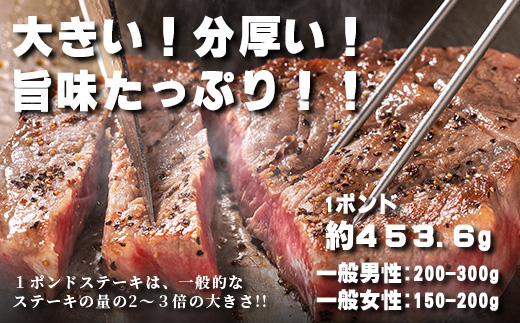 【年内お届け】くまもと黒毛和牛 1ポンド ステーキ 約500g※12月18日～28日発送※  黒毛 和牛 1 pound ステーキ 500g ブランド牛 上質 常備 冷凍 熊本県  年内発送 年内配送 クリスマス