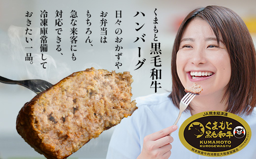 《R7.5〜9月発送 限定 増量 》くまもと 黒毛和牛 DREAMジャンボバーグ 500g×3個 + DREAMバーグ 150g×2個 【合計 1.8kg】 113-0535