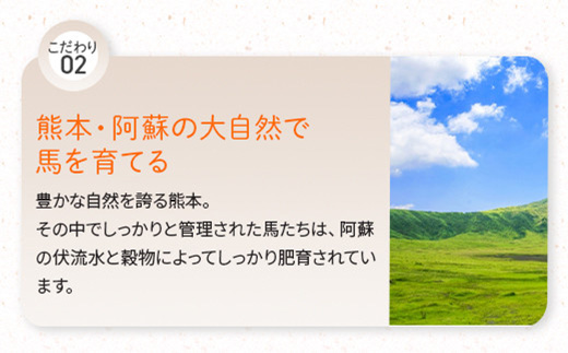 鮮馬刺し 赤身ユッケ 10個 セット 約500g ＜50g×10パック＞ お手軽 冷凍 小分け 031-0496