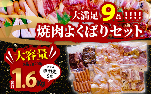 【数量限定】 村上精肉店の 焼肉 よくばりセット 1.6kg+手羽先5本  【 9品 味付き 焼くだけ 】 牛カルビ ハラミ 豚バラ タン トントロ 鶏せせり 鶏もも 手羽先 ウインナー 焼き肉 BBQ アウトドア キャンプ 021-0667