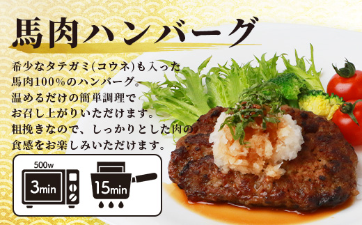 【2月終了】6種 馬肉 バラエティ 約540g 食べ比べ 冷凍 馬刺し 熊本 国産 馬肉ハンバーグ 刺身 生食 新鮮 ユッケ さばきたて SQF 安全 高品質 ハンバーグ 詰め合わせ 赤身 熊本 国産 小分け 031-0437
