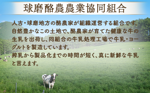 球磨の恵み のむヨーグルト 詰め合わせセット 450g各2本 150g各6本 合計16本【加糖・砂糖不使用】新鮮 生乳使用 加糖ヨーグルト 砂糖不使用 プレーンヨーグルト 飲むヨーグルト 】074-0447