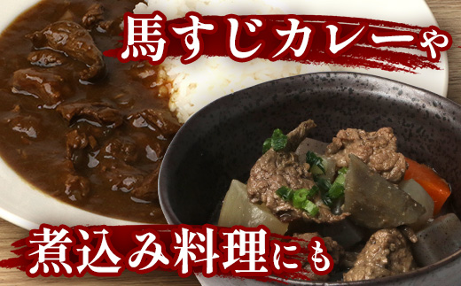 【 定期便 6回 】 熊本県 馬スジ 1kg（ 500g×2 ） × 6回 【 合計 6kg 】 【 馬肉 すじ肉 大容量 本場 熊本県 馬 赤身 煮込み カレー シチュー 冷凍 真空 熊本 肥育 ヘルシー 赤身 肉 高栄養 肉 】 041-0159