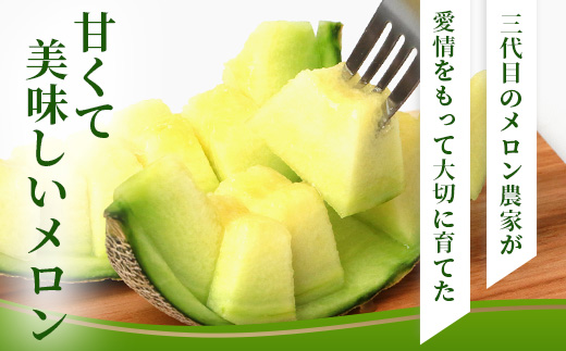 【2026年5月上旬発送開始】熊本県産 アンデスメロン 2玉 計約約2.5kg以上 【 アンデス メロン フルーツ 果物 くだもの 熊本県 多良木町 】 083-0697