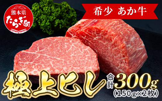 あか牛 極上ヒレ ステーキ セット 計300g ＜ヒレ150g×2枚、あか牛のたれ200ml＞  あか牛 牛肉 肉 熊本県産 多良木町 ご馳走 お祝い お取り寄せ グルメ 046-0167