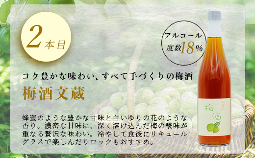 たらぎの 梅酒 セット 720ml × 2本 ≪古代梅酒≫≪ 梅酒文蔵≫ 球磨焼酎 多良木町 米 焼酎 梅 うめ酒 お酒 球磨 贈り物 ギフト 熊本県 多良木町 015-0689