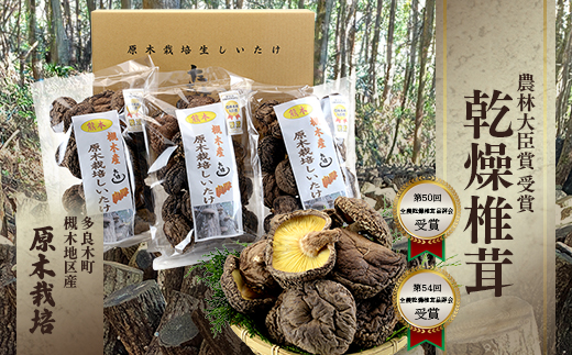 ＜農林水産大臣賞＞槻木産 中葉厚肉 乾燥椎茸 計300g ＜ 100g×3袋セット ＞しいたけ 熊本県 多良木町 原木 シイタケ 026-0573