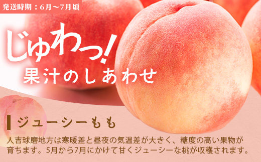 ããã«ãŒã å®æäŸ¿ 3åBã2026幎çºéå ã¢ã³ãã¹ã¡ãã³ã»æ¡ã»æ¢š 3åé
é æ¬ ãã«ãŒã å®æäŸ¿ æ°ééå® ã¡ãã³ çç£šã®æ¡ è±æ°žã®æ¢š æç© åç£ çæ¬ å€è¯æšçº 092-0508