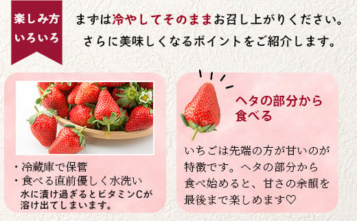 【2025年3月～発送開始】先行予約 熊本県産 いちご ゆうべに 2箱 (250g×8パック) イチゴ 果物 フルーツ 熊本県 多良木町 農園直送 107-0502