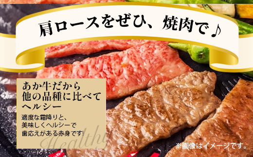 くまもとあか牛 肩ロース 焼肉用 計500g ジューシー 肩ロース 熊本県 ブランド牛 肉 ヘルシー 赤身 牛肉 焼肉 焼き肉 赤身 濃厚 旨味