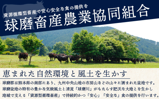 【G1認証】くまもと黒毛和牛 バラ肉 500g【 ブランド 牛肉 バラ 熊本県産 熊本 肉 高級 黒毛和牛 和牛 熊本 多良木 】100-0009