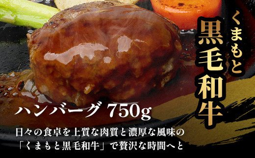 【年内お届け】くまもと黒毛和牛 《 DREAMバーグ 150g×5パック 計750g 》 ※12月18日～28日発送※ 牛肉 100％ 国産 ハンバーグ 熊本 ブランド牛 黒毛 和牛 上質 はんばーぐ 惣菜 熊本県 年内発送 年内配送 クリスマス