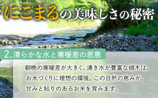 【令和8年産 玄米 】10月上旬～発送 多良木町産 にこまる 「つきぎ米」 玄米 10kg 玄米 ハサ干し米 多良木町 たらぎ 槻木 新米 お米 米 熊本県 10キロ 117-0503
