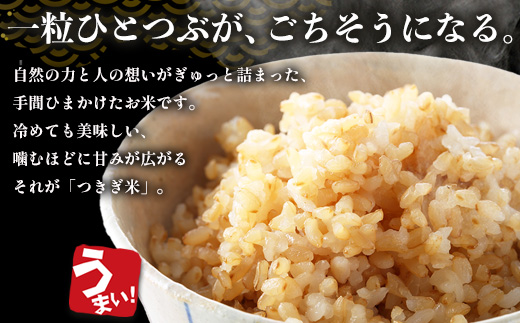 【令和8年産 玄米 】10月上旬～発送 多良木町産 にこまる 「つきぎ米」 玄米 10kg 玄米 ハサ干し米 多良木町 たらぎ 槻木 新米 お米 米 熊本県 10キロ 117-0503