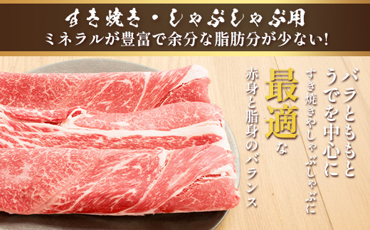 くまもとあか牛すき焼き・しゃぶしゃぶセット 計1kg すき焼き しゃぶしゃぶ あか牛 牛肉 肩ロース ヘルシー 贅沢 ミネラル 熊本県 ブランド牛 肉 ヘルシー 赤身 牛肉