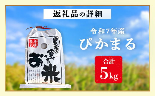 【 令和7年産 新米 先行予約 】 多良木町産 ぴかまる 5kg （ 令和7年10月下旬より順次発送 ）新米 農家が食べる お米 5キロ 甘み 米 美味しい米 米 白米 精米 熊本 065-0640