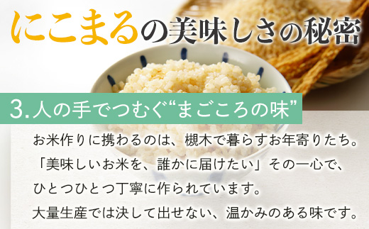 【令和8年産 玄米 】10月上旬～発送 多良木町産 にこまる 「つきぎ米」 玄米 10kg 玄米 ハサ干し米 多良木町 たらぎ 槻木 新米 お米 米 熊本県 10キロ 117-0503
