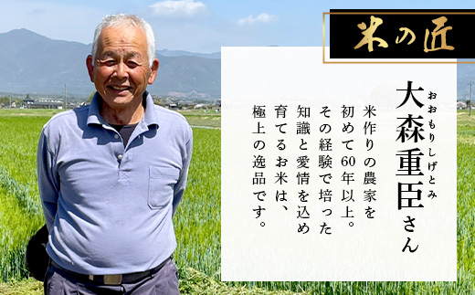 【 令和7年産 新米 先行予約 】 多良木町産 ぴかまる 5kg （ 令和7年10月下旬より順次発送 ）新米 農家が食べる お米 5キロ 甘み 米 美味しい米 米 白米 精米 熊本 065-0640