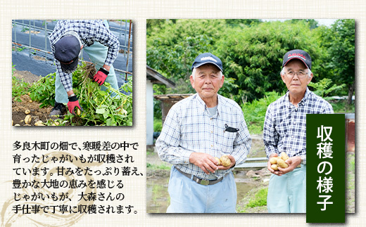 倧森ããã® ããããã é£ã¹æ¯ã¹ã»ãã çŽ5kg ã¡ãŒã¯ã€ã³ ïŒã¢ã³ãã¹ã¬ãã çæ¬ç å€è¯æšçºç£ ãžã£ã¬ã€ã¢ ãããè éè ããã æ°ééå® 065-0701