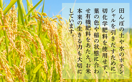 【令和7年産 新米 】【先行予約】 受賞米 こめたらぎ にこまる 精米 10kg (5kg×2袋) 米 お米 10月中旬～発送 グランプリ受賞 白米 精米 ご飯 こめらたぎ にこまる 名産地 多良木町産 ふっくら 044-0507