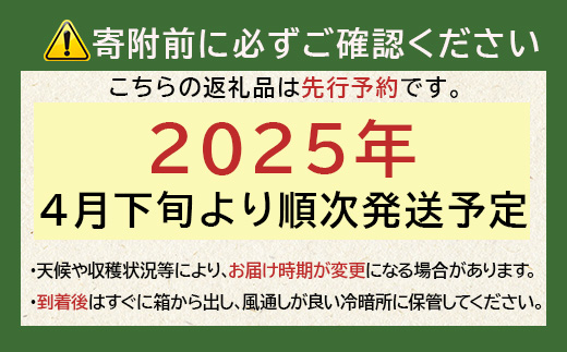 【先行予約】熊本県産 玉ねぎ 5kg (16玉前後) ≪2025年4月下旬から順次発送≫ 玉葱 野菜 数量限定 JAS たまねぎ オニオン 甘い ハンバーグ 肉じゃが 065-0636