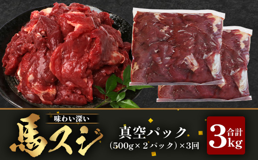 【 定期便 3回 】 熊本県 馬スジ 1kg（ 500g×2 ） × 3回 【 合計 3kg 】 【 馬肉 すじ肉 大容量 本場 熊本県 馬 赤身 煮込み カレー シチュー 冷凍 真空 熊本 肥育 ヘルシー 赤身 肉 高栄養 肉 】 041-0158