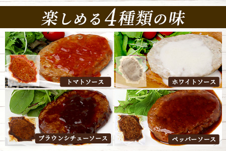 【定期便2回】 人気 ハンバーグ 食べ比べ 定期便 C レンチン ハンバーグ 4種のソース ／ くまもと黒毛和牛 生ハンバーグ バラエティ 定期便 豆腐 牛肉 肉 熊本県産 092-0026