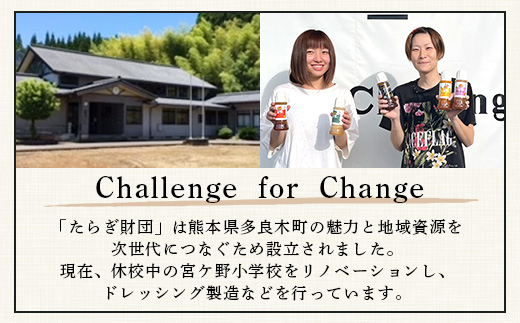 【定期便 3回】野菜ソムリエ 監修【 野菜で野菜を食べる 】旬の おすすめ 野菜＆ドレッシング 定期便 (1〜2名様向け) 野菜 獲れたて 直送 旬 新鮮 セット 詰め合わせ 詰合せ 定期便 産地 直送 国産 旬 野菜 ひとり暮らし 夫婦 熊本県 多良木町 ドレッシング 024-0806