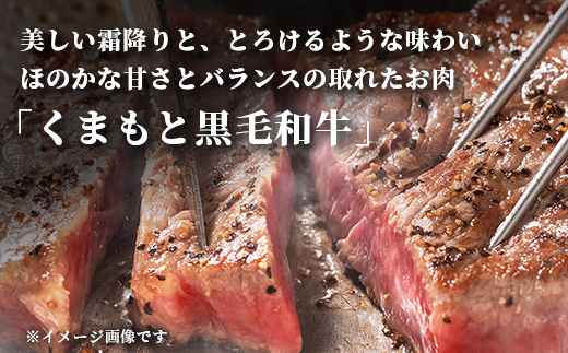 【年内お届け】くまもと黒毛和牛 1ポンド ステーキ 約500g※12月18日～28日発送※  黒毛 和牛 1 pound ステーキ 500g ブランド牛 上質 常備 冷凍 熊本県  年内発送 年内配送 クリスマス