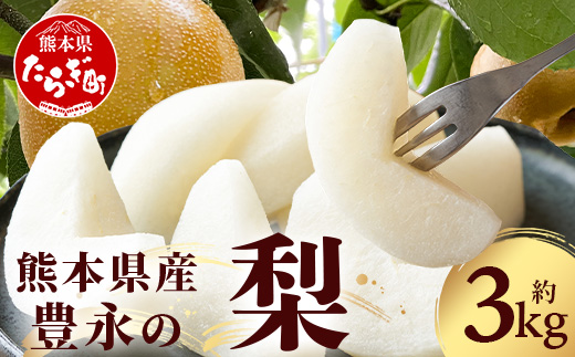 【2026年8月中旬〜発送分】豊永の 梨 約3kg  熊本県産 幸水 新高 新興 豊水 秋月 秋麗 果物 熊本県産 フルーツ 甘い ジューシー 070-0593