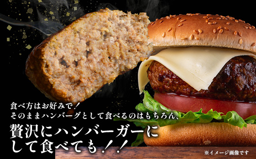 《R7.5〜9月発送 限定 増量 》くまもと 黒毛和牛 DREAMジャンボバーグ 500g×3個 + DREAMバーグ 150g×2個 【合計 1.8kg】 113-0535