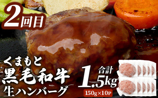 【定期便2回】 人気 ハンバーグ 食べ比べ 定期便 C レンチン ハンバーグ 4種のソース ／ くまもと黒毛和牛 生ハンバーグ バラエティ 定期便 豆腐 牛肉 肉 熊本県産 092-0026