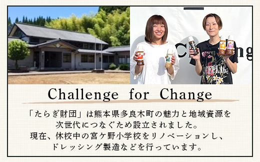 熊本の大地の恵み 旬の こだわり野菜詰め合わせセット 8〜12品 （3〜4名様向け）野菜 獲れたて 新鮮 野菜 セット 詰め合わせ 詰合せ 産地 直送 国産 季節 野菜 家族 ファミリー 多良木町 024-0809