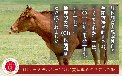 【GI認証】くまもと あか牛 肩 焼肉 用 約500g ＜約250g×2p＞ 冷凍 小分け ヘルシー あか牛 焼き肉 やき肉 肩ロース 牛肉 和牛 国産牛 赤身 073-0412