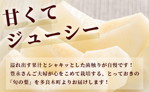 先行予約【2025年5月下旬〜発送分】 熊本県産 梨 約3kg  幸水 新高 新興 豊水 秋月 秋麗 果物 熊本県産 フルーツ 甘い ジューシー 070-0593