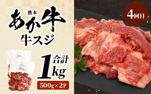 【定期便6回】 1kg×6回！ くまもと ビーフ 満喫 お楽しみ 定期便 【合計6.2kg】 熊本 あか牛 / 牛タン / 黒毛和牛 モモステーキ /あか牛 スジ / ハラミ / 黒毛和牛 ハンバーグ  和牛 ブランド牛 バラエティ 定期便
