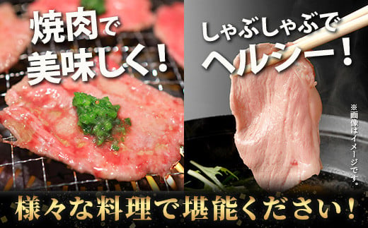 【訳あり】 牛タン スライス 1kg (500g×2) 結着加工 牛肉 牛たん 牛舌 薄切り わけあり 訳アリ 訳あり品 焼肉 焼き肉 惣菜 バーベキュー アウトドア 067-0676