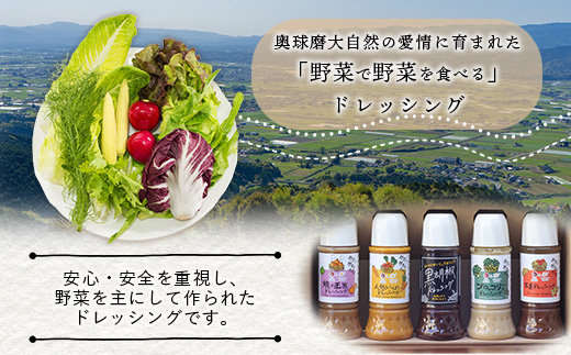 野菜で野菜を食べる ドレッシング 2本 Eセット ＜ 人参 / 黒胡椒 ＞計590ml サラダ や 肉料理 にも 詰め合わせ 熊本県 多良木町 調味料 024-0670