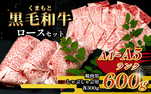 【年内お届け】A4・A5 くまもと黒毛和牛 ロース セット 計600g ( すき焼き / 焼肉 各300g ) ※12月18日～28日発送※ 本場 熊本県 ブランド 牛 黒毛 和牛 厳選 A4 等級以上 A5 肉 上質  年内発送 年内配送 クリスマス