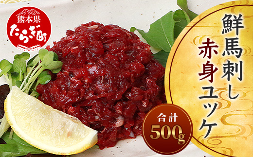 【年末発送】鮮馬刺し 赤身ユッケ 10個 セット 約500g ＜50g×10パック＞ お手軽 冷凍 小分け 年内発送 年内配送 年末年始 031-0496