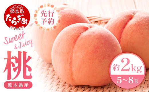 【先行予約】 桃 (5～8玉) 約 2kg 「厳選した桃をお届け」 2025年6月下旬～順次発送《 先行予約 JA 農協 桃 もも ピーチ 熊本県 球磨 産 果物 フルーツ 甘い ジューシー 》 087-0656