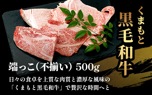 年内お届け【訳あり】くまもと黒毛和牛 の 端っこ (不揃い) 切り落とし 切れ端 500g ※12月18日～28日発送※ 本場 熊本県 ブランド 牛 黒毛 和牛 上質 国産 牛肉 熊本県