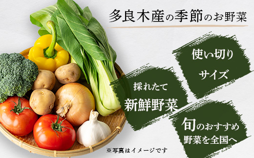 【定期便12回】熊本の大地の恵み 旬の こだわり野菜詰め合わせセット 8〜12品 （3〜4名様向け）12カ月配送 獲れたて 新鮮 野菜 セット 詰め合わせ 詰合せ 定期便 産地 直送 国産 季節 旬野菜 家族 ファミリー 多良木町 024-0812