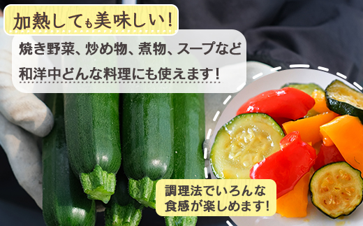 【11月上旬～5月下旬発送】中神農園の ズッキーニ 約2kg (10〜12本) 《先行予約》 野菜 やさい 煮る 炒める 生食 ミネラル ビタミンC ずっきーに 新鮮 甘み 酸味 用途多様 国産 九州 熊本県 多良木町 送料無料 071-0506