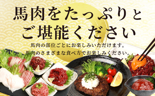 【2月終了】6種 馬肉 バラエティ 約540g 食べ比べ 冷凍 馬刺し 熊本 国産 馬肉ハンバーグ 刺身 生食 新鮮 ユッケ さばきたて SQF 安全 高品質 ハンバーグ 詰め合わせ 赤身 熊本 国産 小分け 031-0437