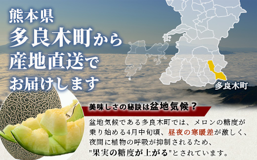 《2025年発送分 先行予約》 肥後グリーンメロン 2玉～4玉 合計 約4kg 肥後グリーン メロン 甘い 果物 フルーツ 果実 ジュージー 国産 熊本県産 熊本県 多良木町 送料無料