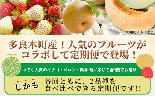 【フルーツ 定期便 3回】2025年発送 多良木町産 いちご・メロン・梨 各2種 食べ比べ 3回配送 数量限定 東光寺梨 西山果樹園 木村メロン園 坂下農園 イチゴフルーツ 果物 名産 熊本 多良木町 旬